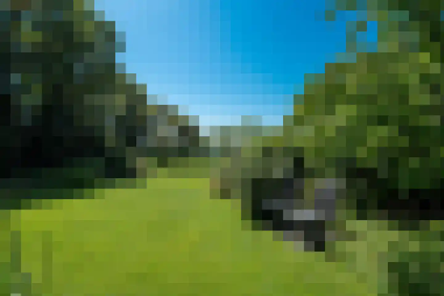 Zeegserweg 2 Tynaarlo thumbnail 72