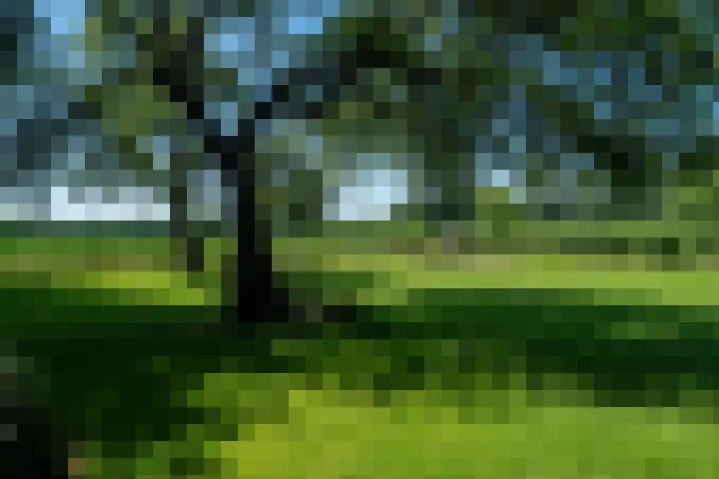 Zeegserweg 2 Tynaarlo thumbnail 75