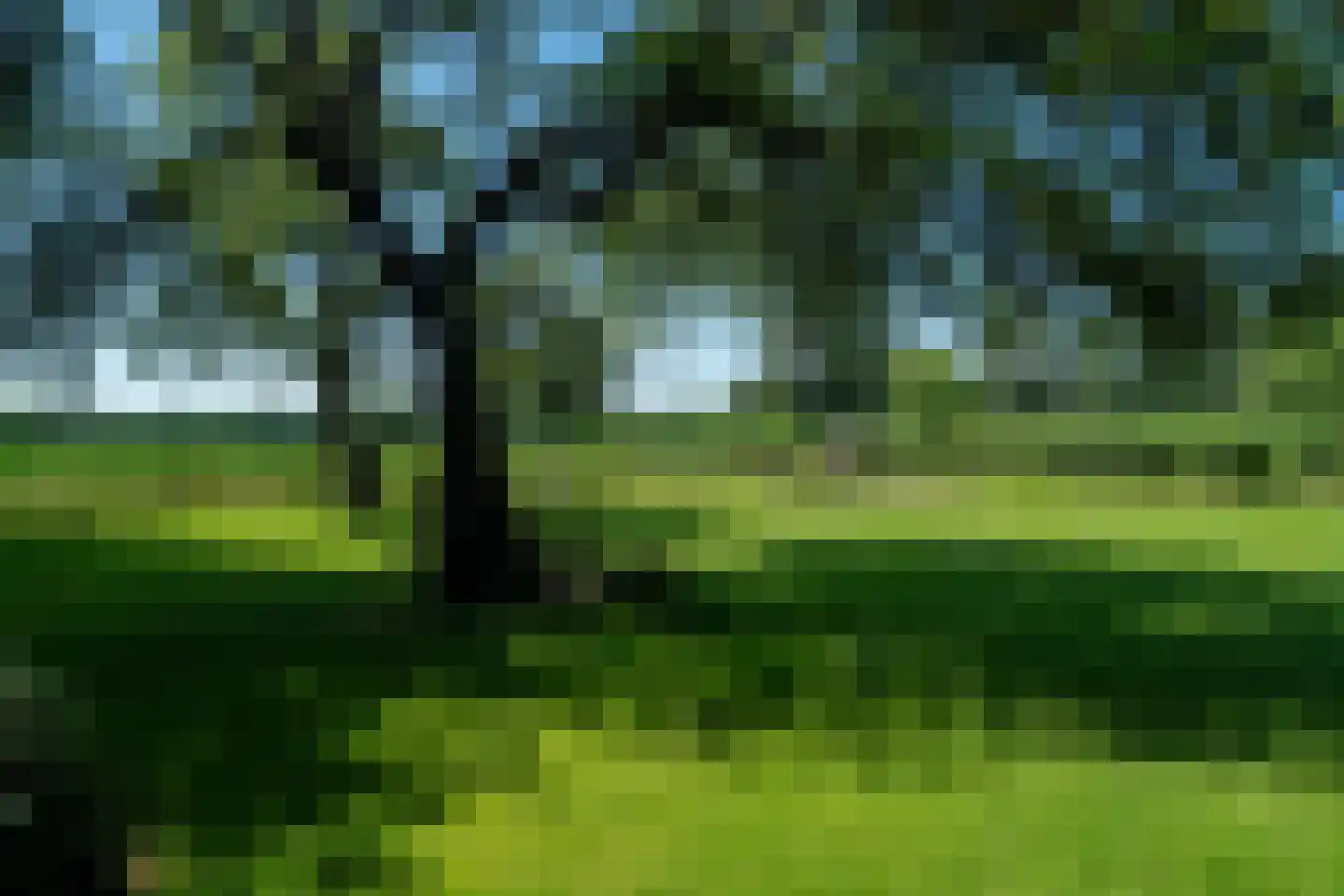 Zeegserweg 2 Tynaarlo thumbnail 76