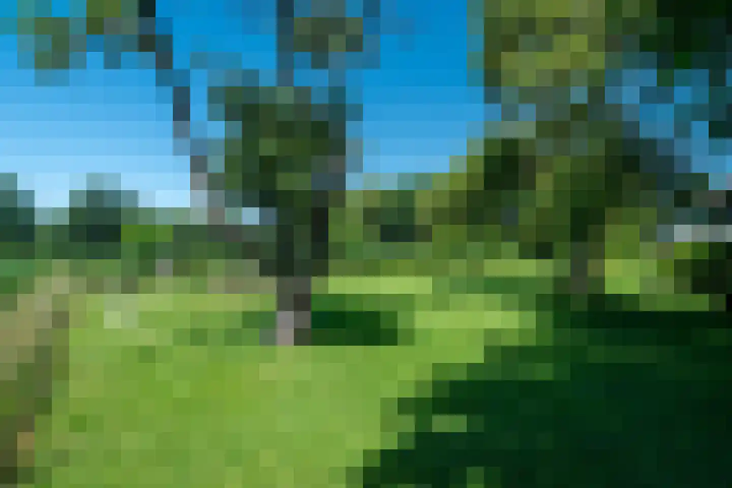 Zeegserweg 2 Tynaarlo thumbnail 77