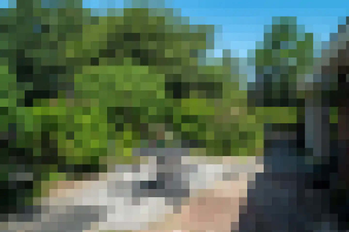 Zeegserweg 2 Tynaarlo thumbnail 81