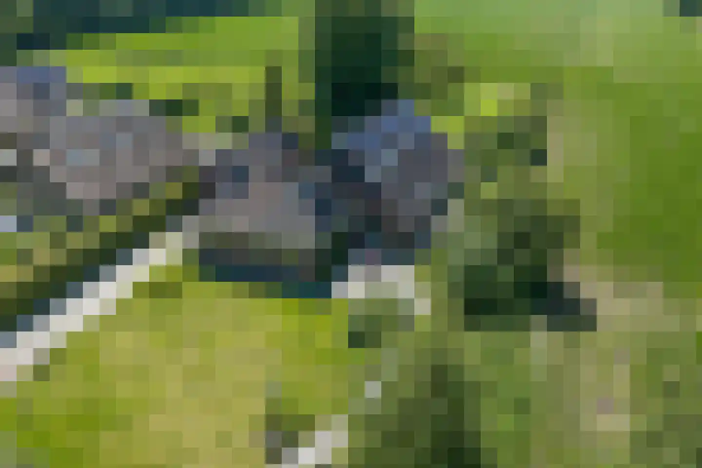 Zeegserweg 2 Tynaarlo thumbnail 86