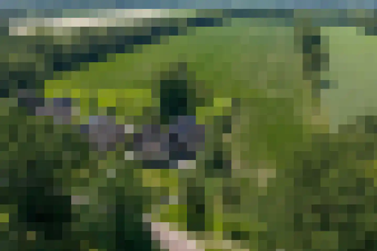 Zeegserweg 2 Tynaarlo thumbnail 87