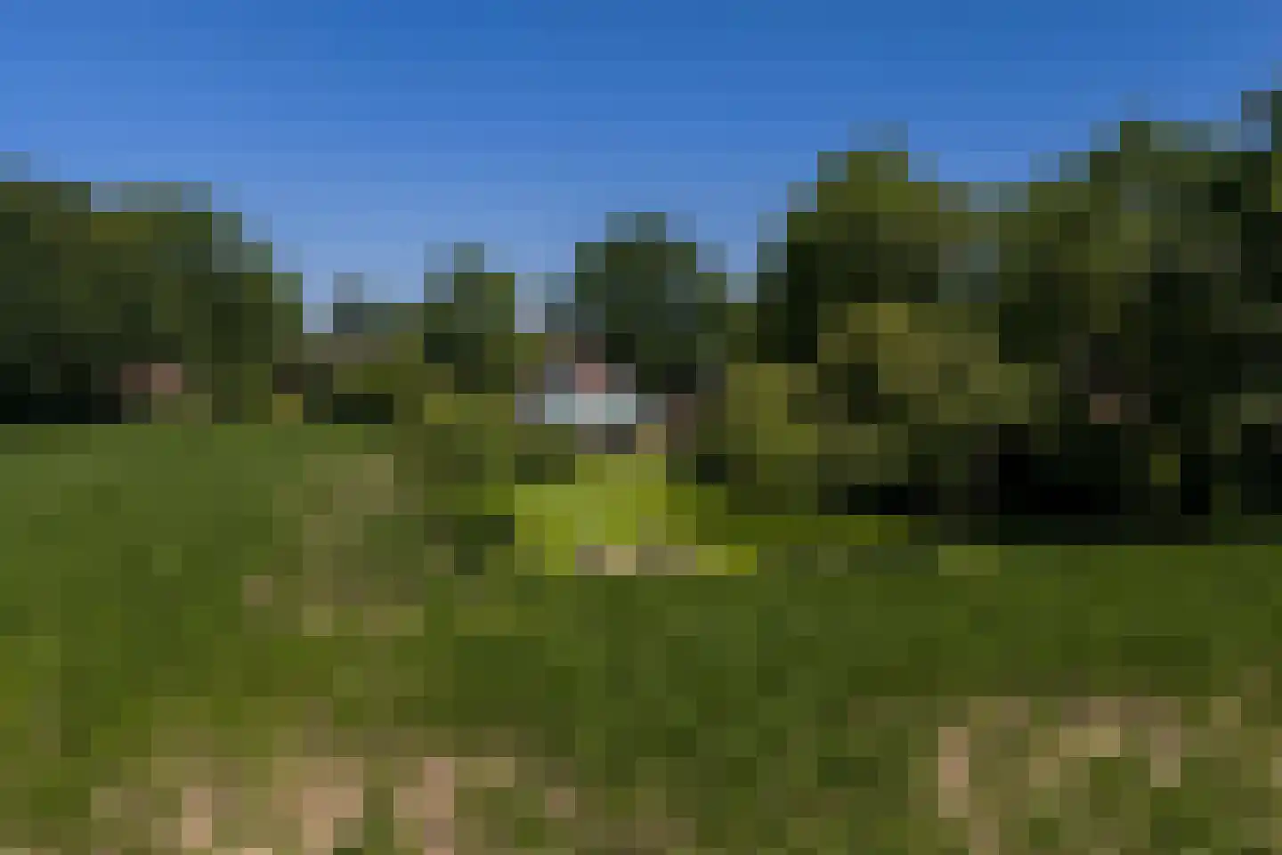 Zeegserweg 2 Tynaarlo thumbnail 89