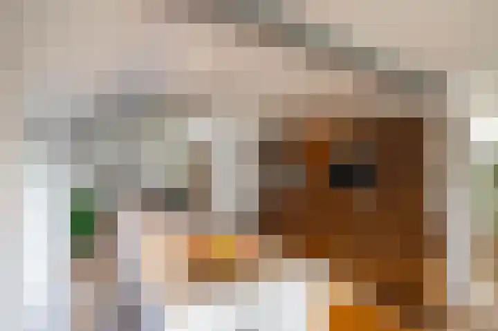 Zeegserweg 4 Tynaarlo thumbnail 15