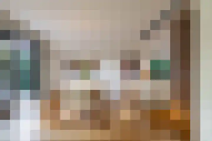 Zeegserweg 4 Tynaarlo thumbnail 20