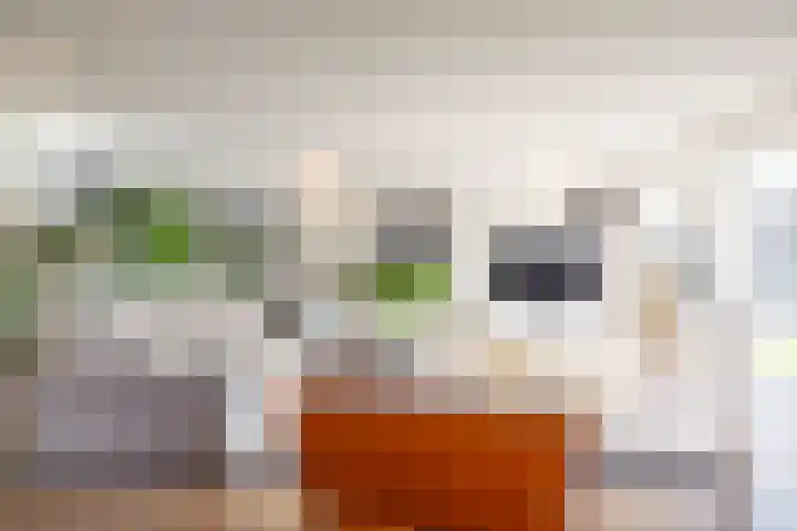 Zeegserweg 4 Tynaarlo thumbnail 21