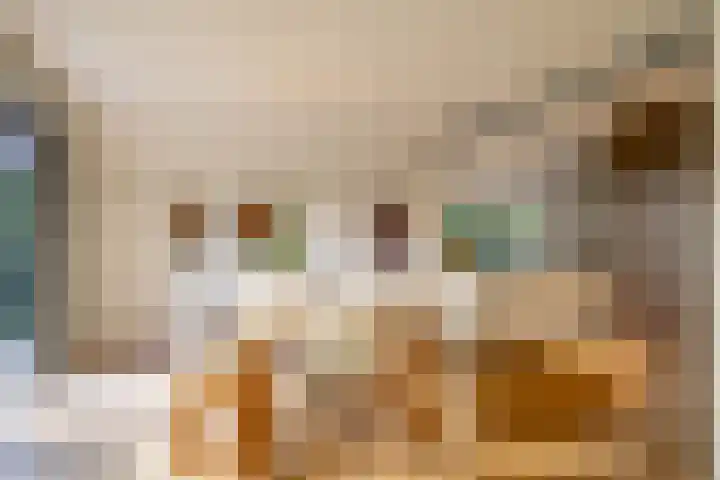 Zeegserweg 4 Tynaarlo thumbnail 23