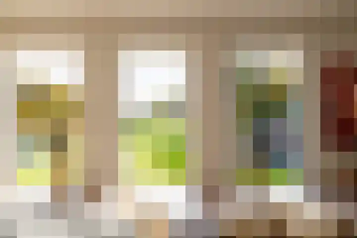 Zeegserweg 4 Tynaarlo thumbnail 28