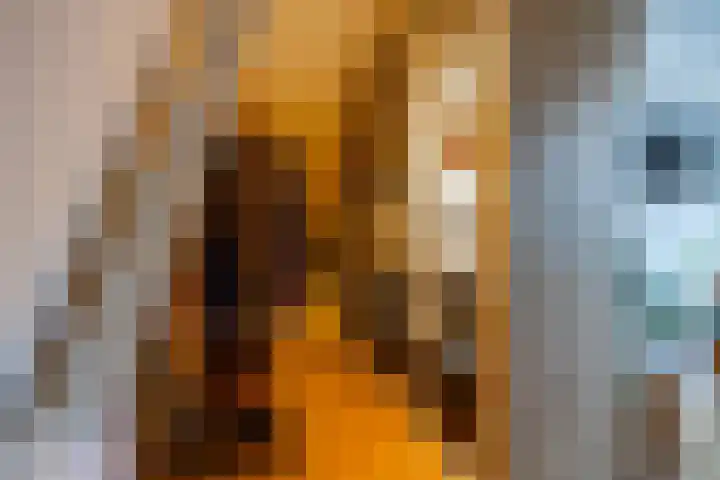 Zeegserweg 4 Tynaarlo thumbnail 34