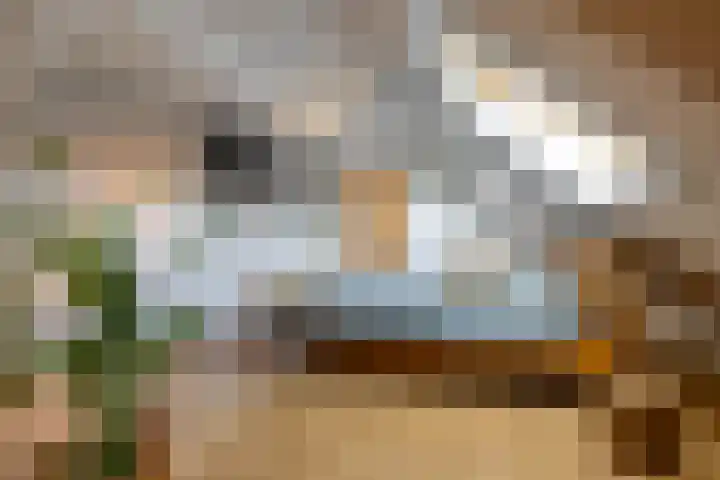 Zeegserweg 4 Tynaarlo thumbnail 36
