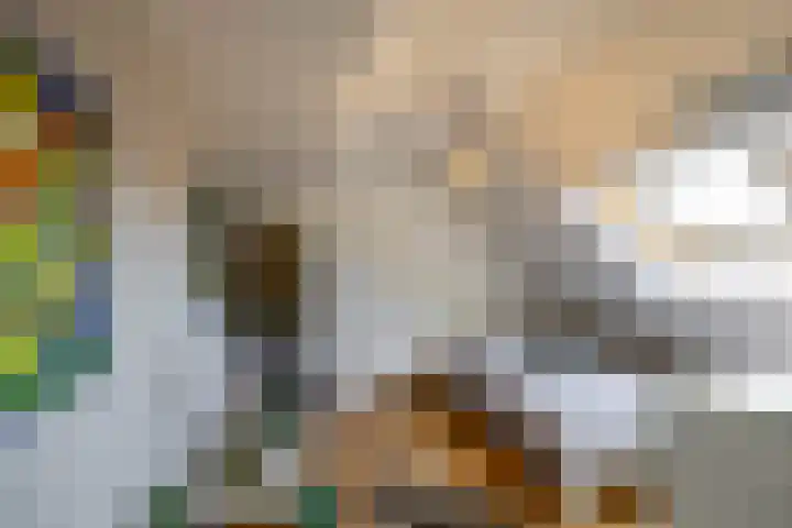 Zeegserweg 4 Tynaarlo thumbnail 38