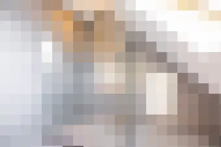 Zeegserweg 4 Tynaarlo thumbnail 41