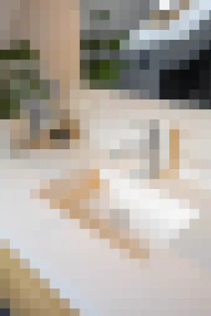 Zeegserweg 4 Tynaarlo thumbnail 44