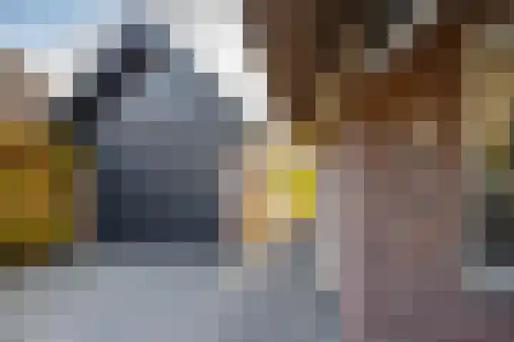Zeegserweg 4 Tynaarlo thumbnail 47