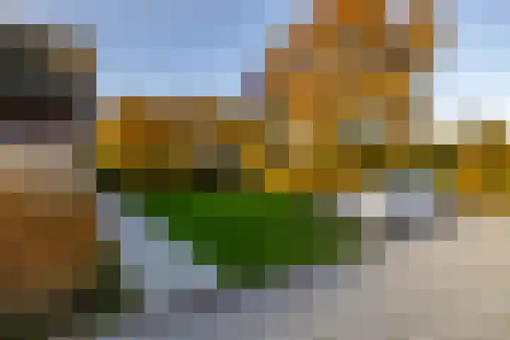 Zeegserweg 4 Tynaarlo thumbnail 49