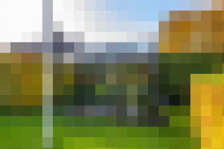 Zeegserweg 4 Tynaarlo thumbnail 52