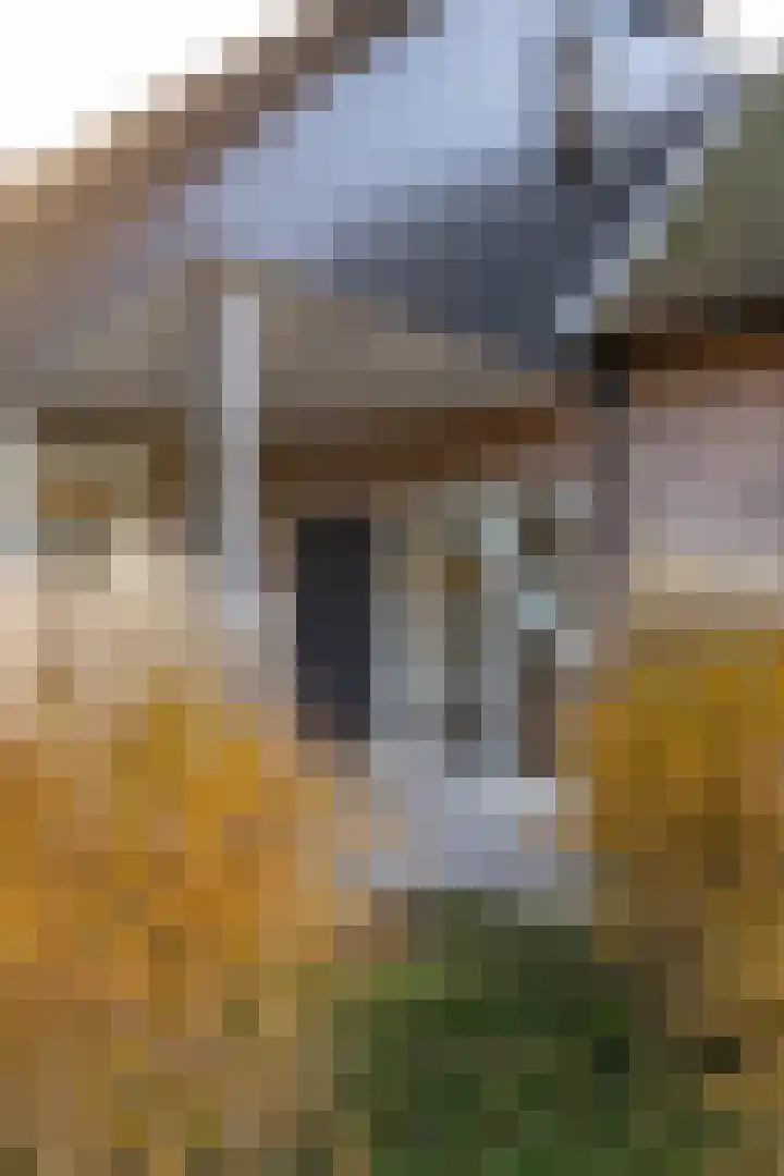Zeegserweg 4 Tynaarlo thumbnail 53