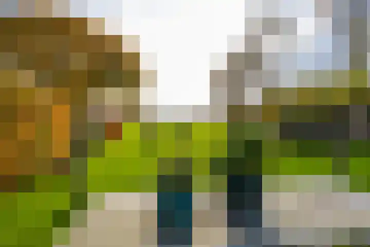 Zeegserweg 4 Tynaarlo thumbnail 60
