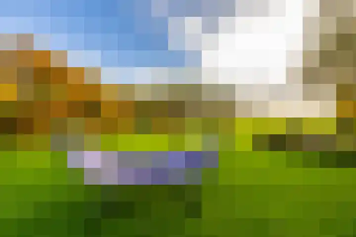 Zeegserweg 4 Tynaarlo thumbnail 64