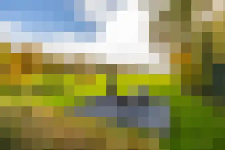 Zeegserweg 4 Tynaarlo thumbnail 65