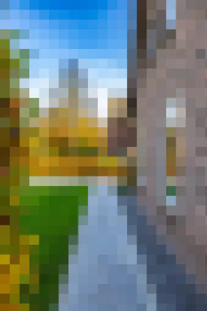 Zeegserweg 4 Tynaarlo thumbnail 66