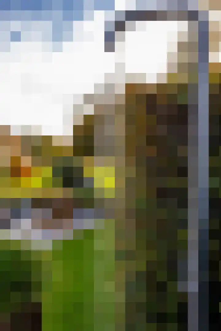 Zeegserweg 4 Tynaarlo thumbnail 67