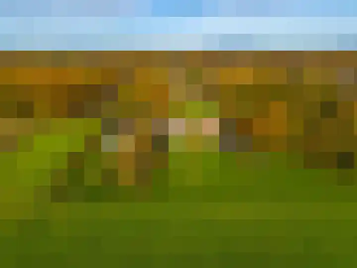 Zeegserweg 4 Tynaarlo thumbnail 68