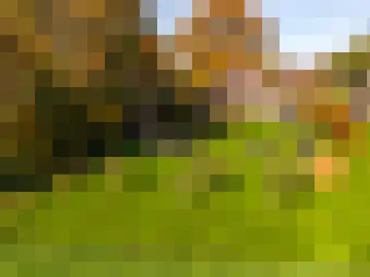 Zeegserweg 4 Tynaarlo thumbnail 70
