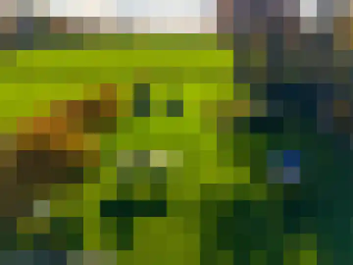 Zeegserweg 4 Tynaarlo thumbnail 71
