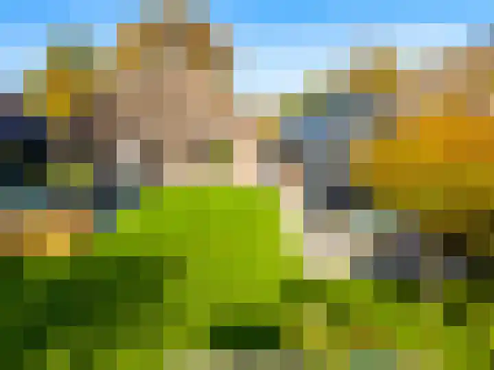 Zeegserweg 4 Tynaarlo thumbnail 73