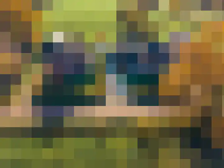 Zeegserweg 4 Tynaarlo thumbnail 75