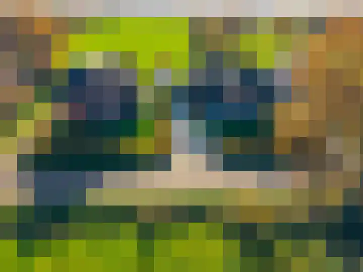 Zeegserweg 4 Tynaarlo thumbnail 76