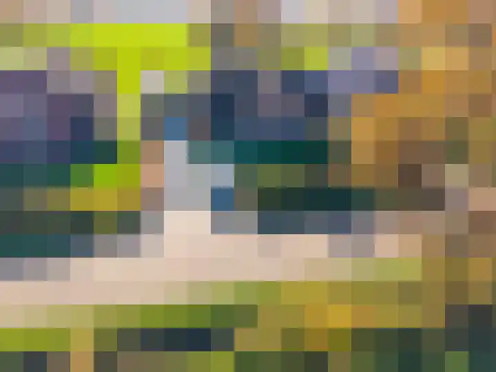 Zeegserweg 4 Tynaarlo thumbnail 77