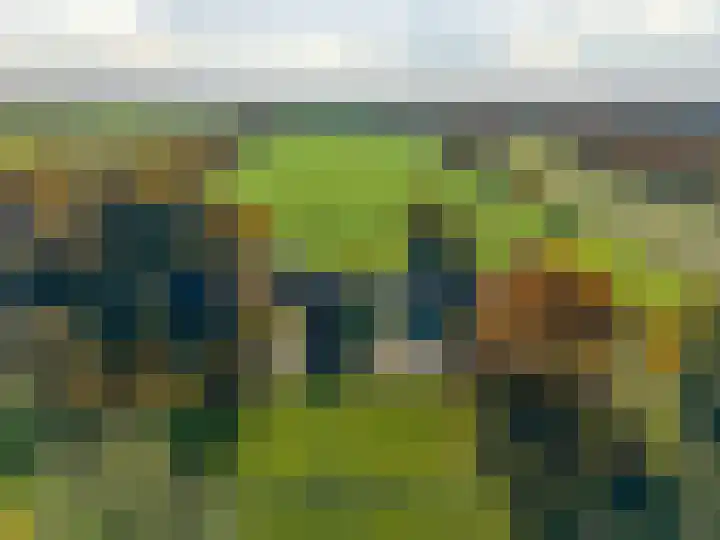 Zeegserweg 4 Tynaarlo thumbnail 78