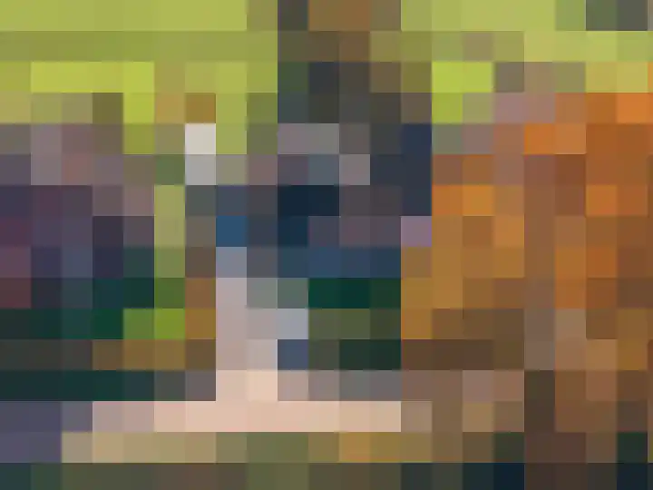 Zeegserweg 4 Tynaarlo thumbnail 79