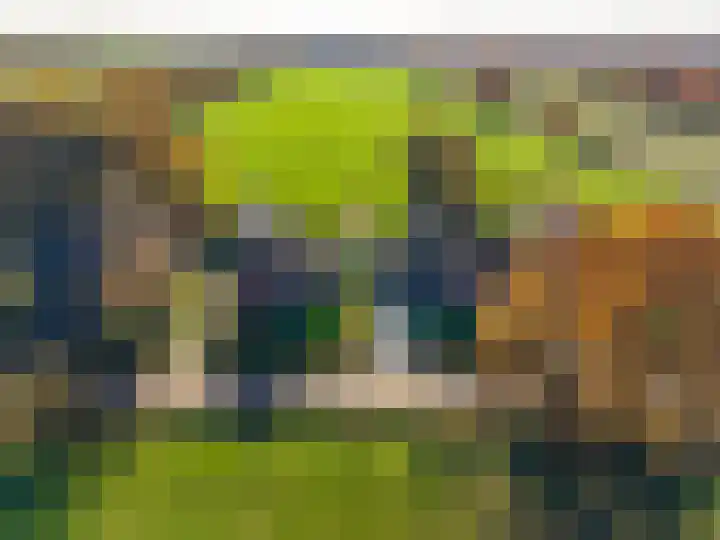 Zeegserweg 4 Tynaarlo thumbnail 80