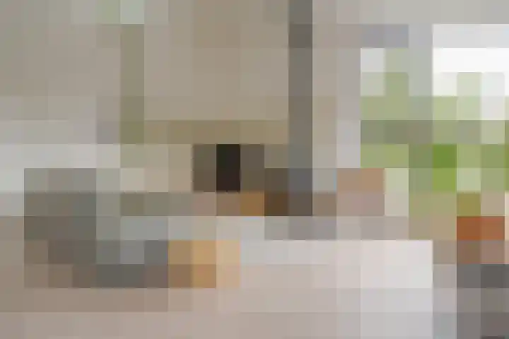 Zeegstraat 1 Zwolle thumbnail 33