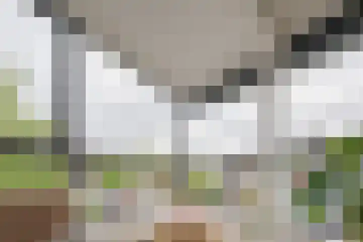 Zeegstraat 1 Zwolle thumbnail 35