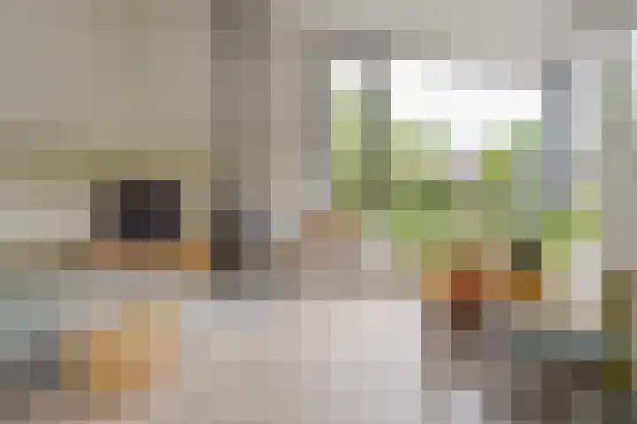Zeegstraat 1 Zwolle thumbnail 36