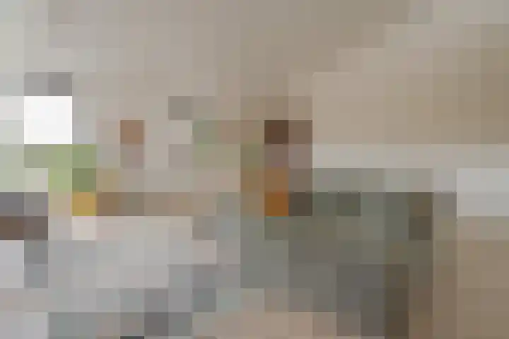 Zeegstraat 1 Zwolle thumbnail 39