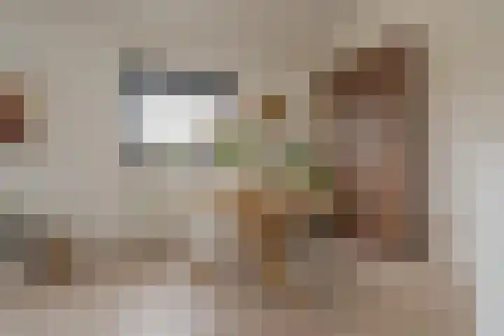 Zeegstraat 1 Zwolle thumbnail 40
