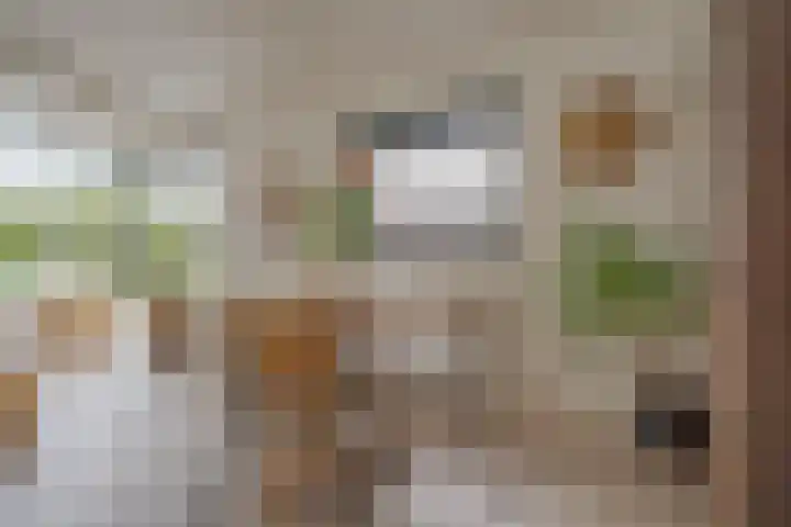 Zeegstraat 1 Zwolle thumbnail 41