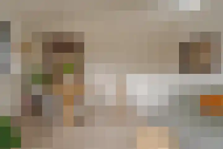 Zeegstraat 1 Zwolle thumbnail 42