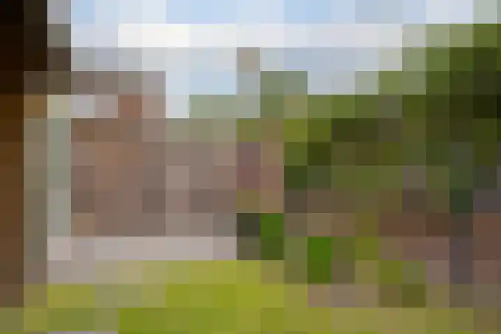 Zeegstraat 1 Zwolle thumbnail 56