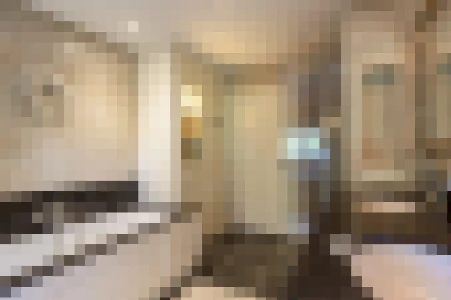 Zeegstraat 16 Gassel thumbnail 29