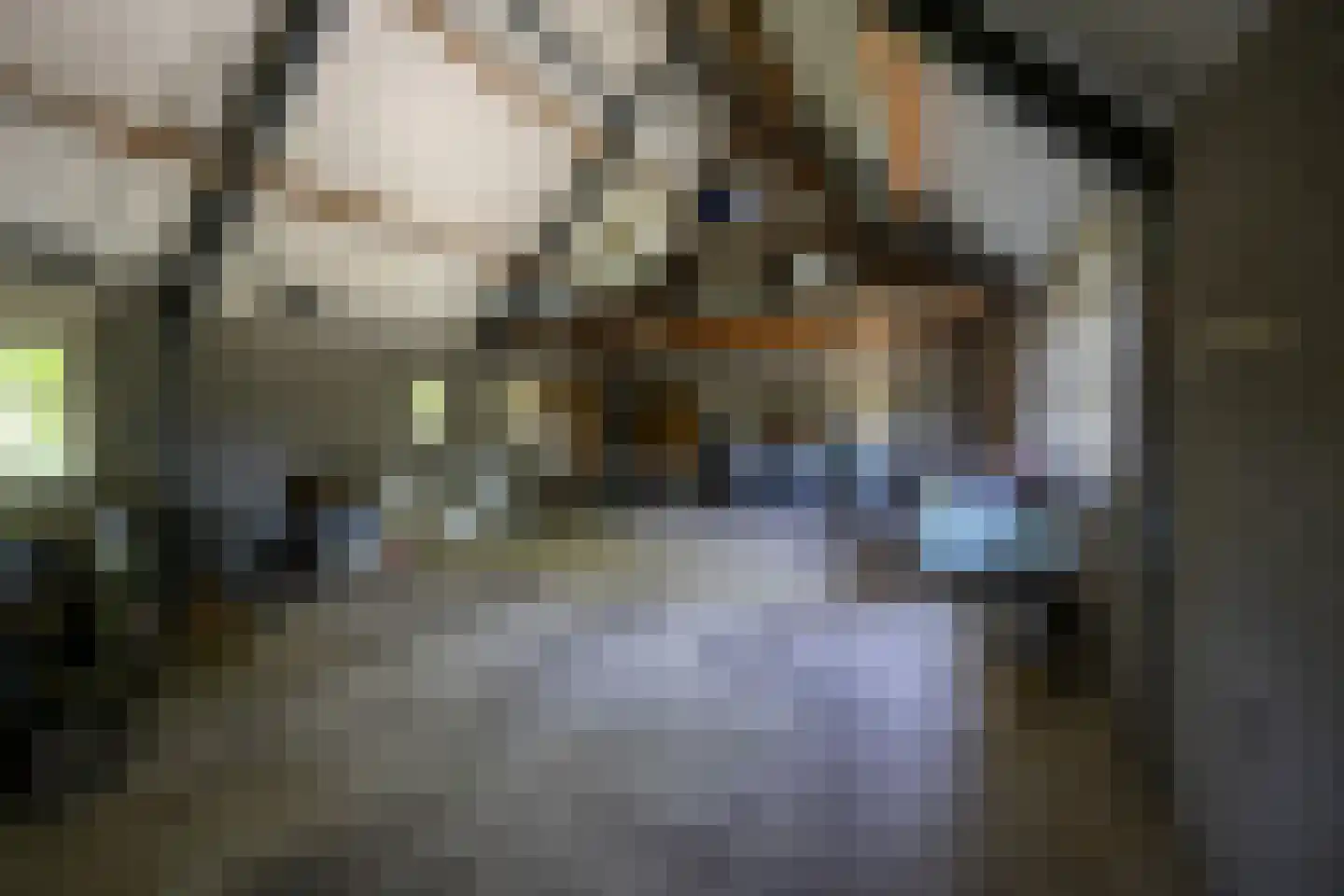 Zeegstraat 16 Gassel thumbnail 58