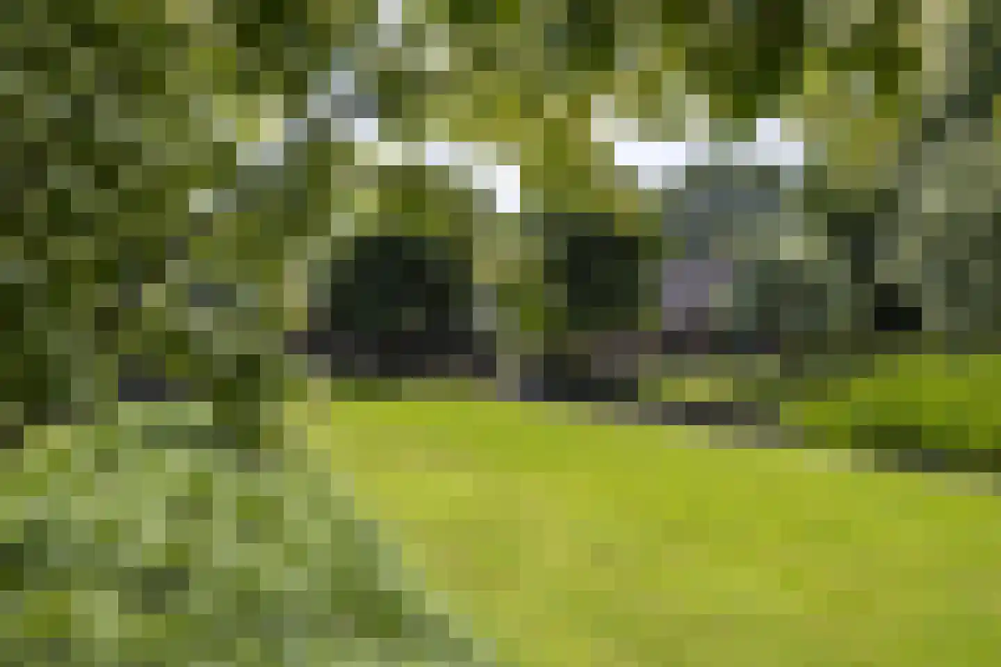 Zeegstraat 16 Gassel thumbnail 60