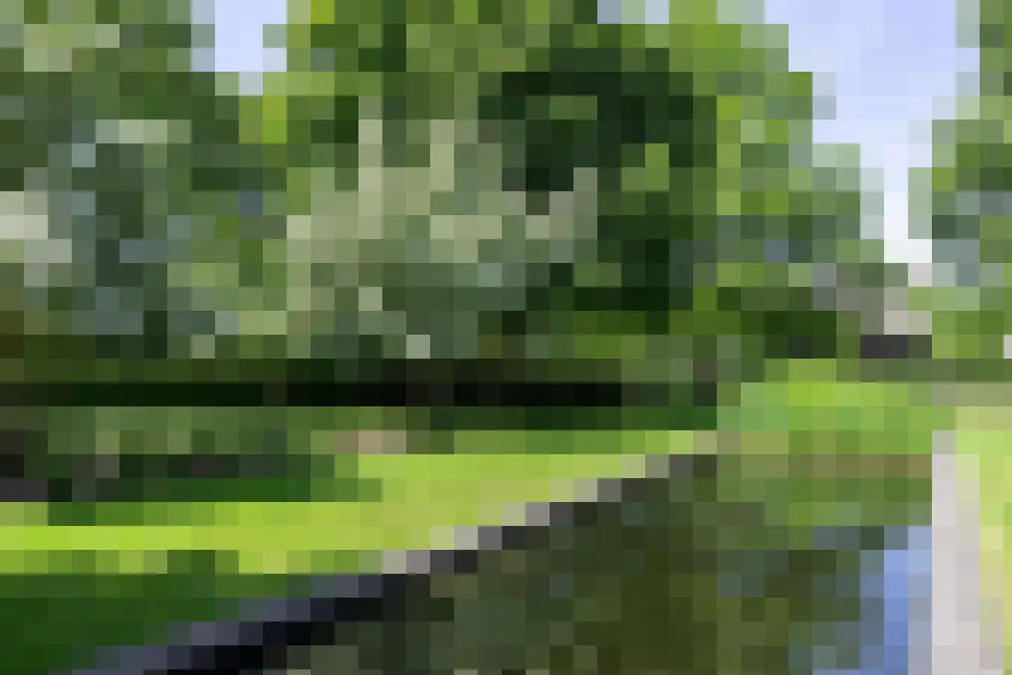 Zeegstraat 16 Gassel thumbnail 62