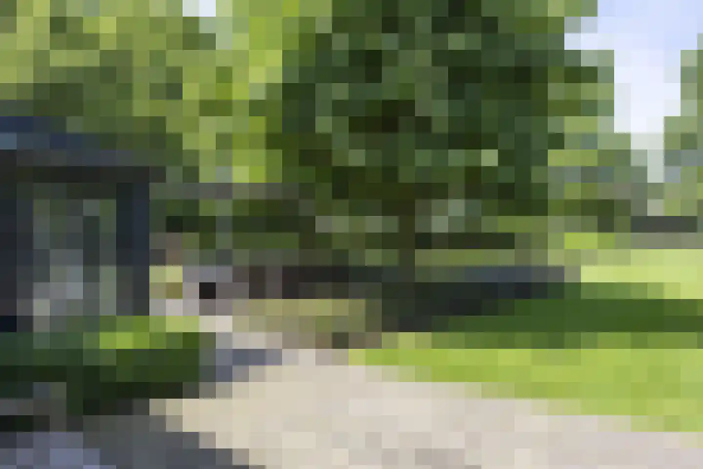 Zeegstraat 16 Gassel thumbnail 64